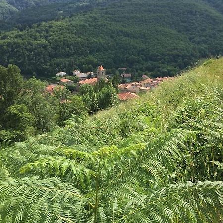 T2 Petite Terrasse Coeur De Ville Prats-de-Mollo-la-Preste Exteriör bild